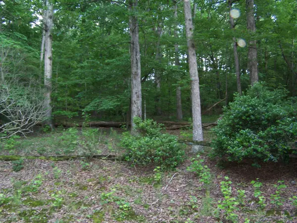 Trion, GA 30753,1511 Monroe Green RD