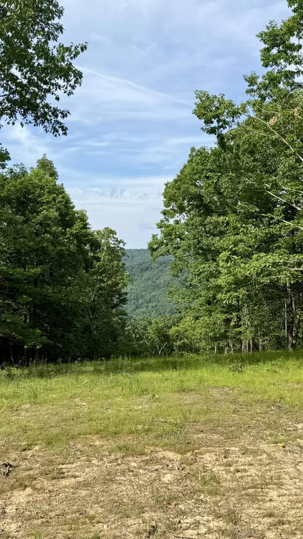 Dunlap, TN 37327,Lot 4 Hobbstown RD