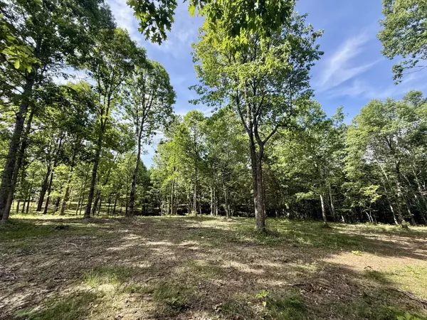 Dunlap, TN 37327,Lot 5 Hobbstown RD