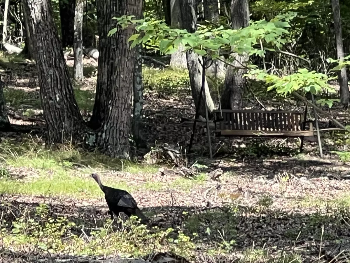 Lookout Mountain, GA 30750,594 Lookout Crest LN