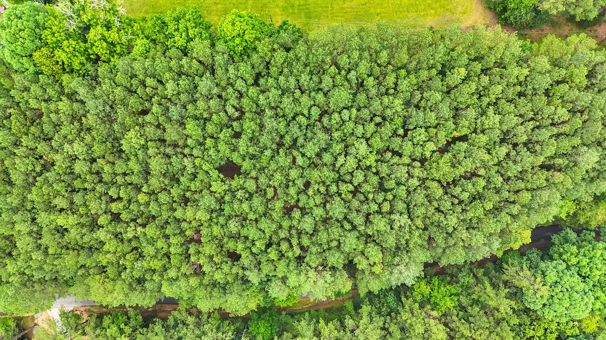 Soddy Daisy, TN 37379,1637 Billingsley RD