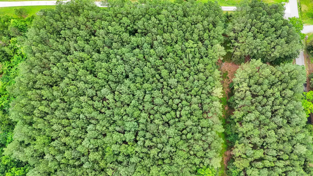 1645 Billingsley RD, Soddy Daisy, TN 37379