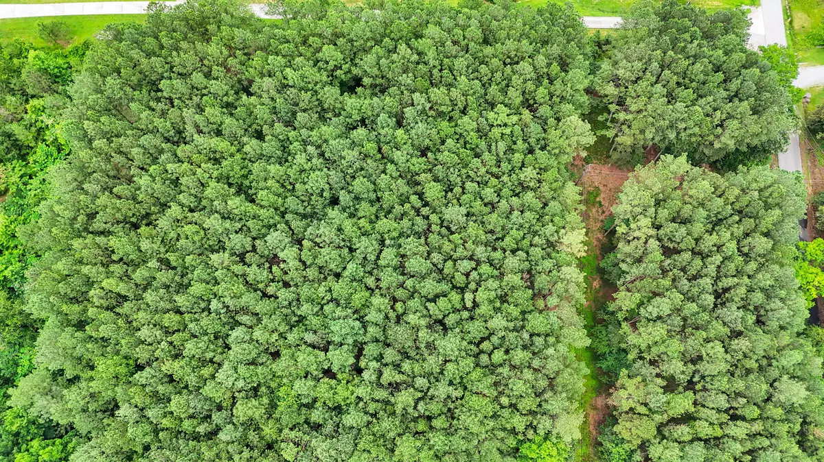 Soddy Daisy, TN 37379,1645 Billingsley RD