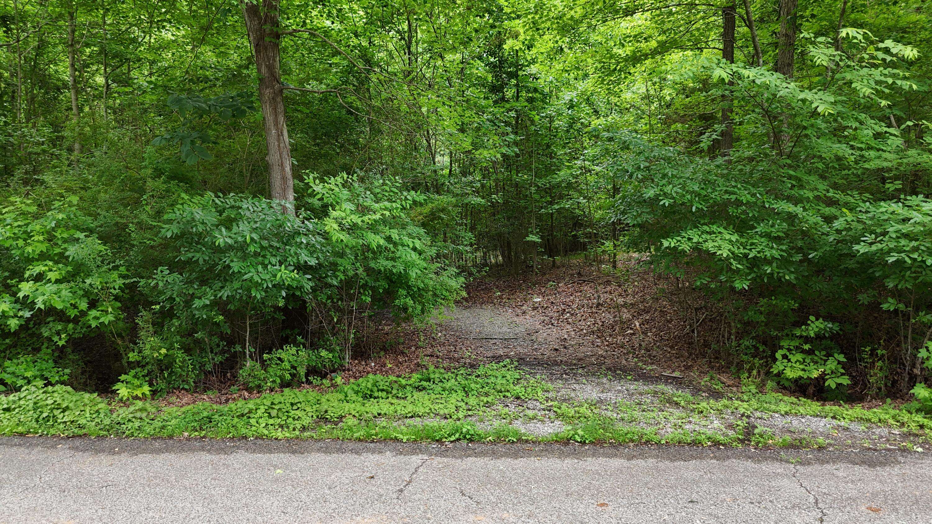 5671 Willow Point LN, Harrison, TN 37341