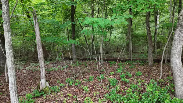 Harrison, TN 37341,5671 Willow Point LN