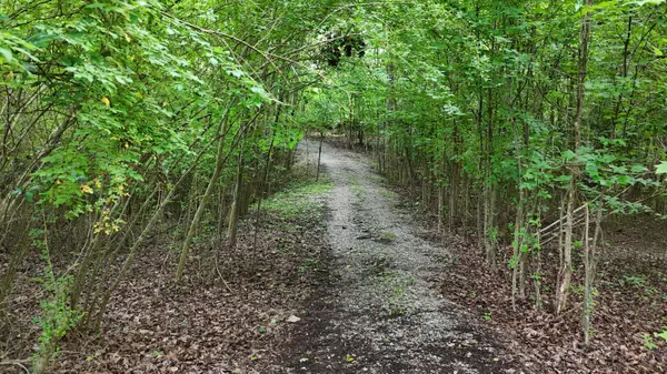 Harrison, TN 37341,5671 Willow Point LN