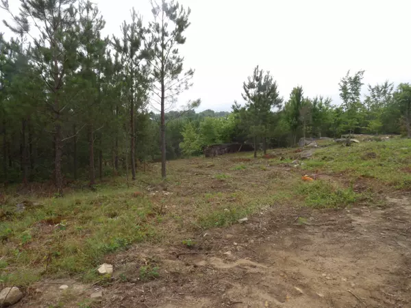 Evensville, TN 37332,03 Summer City RD