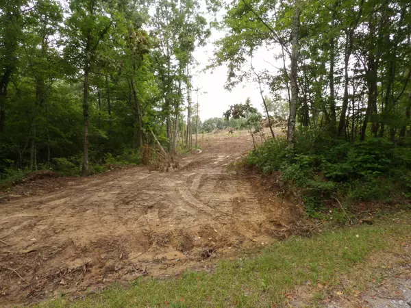 06 Hughes Cemetery RD, Evensville, TN 37332