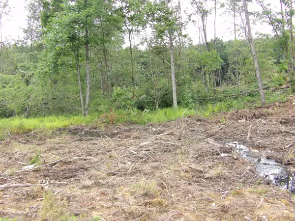 Evensville, TN 37332,Lot 7 Hughes Cemetery RD