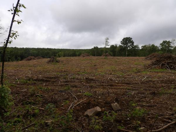 Lot 8 Hughes Cemetery RD, Evensville, TN 37332