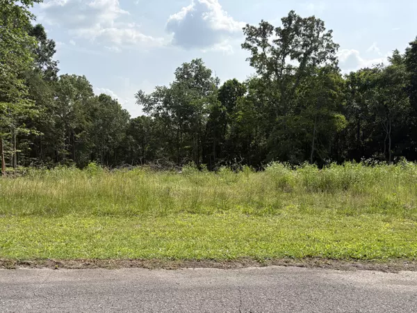 Whitwell, TN 37397,Lot 1 Robbie DR