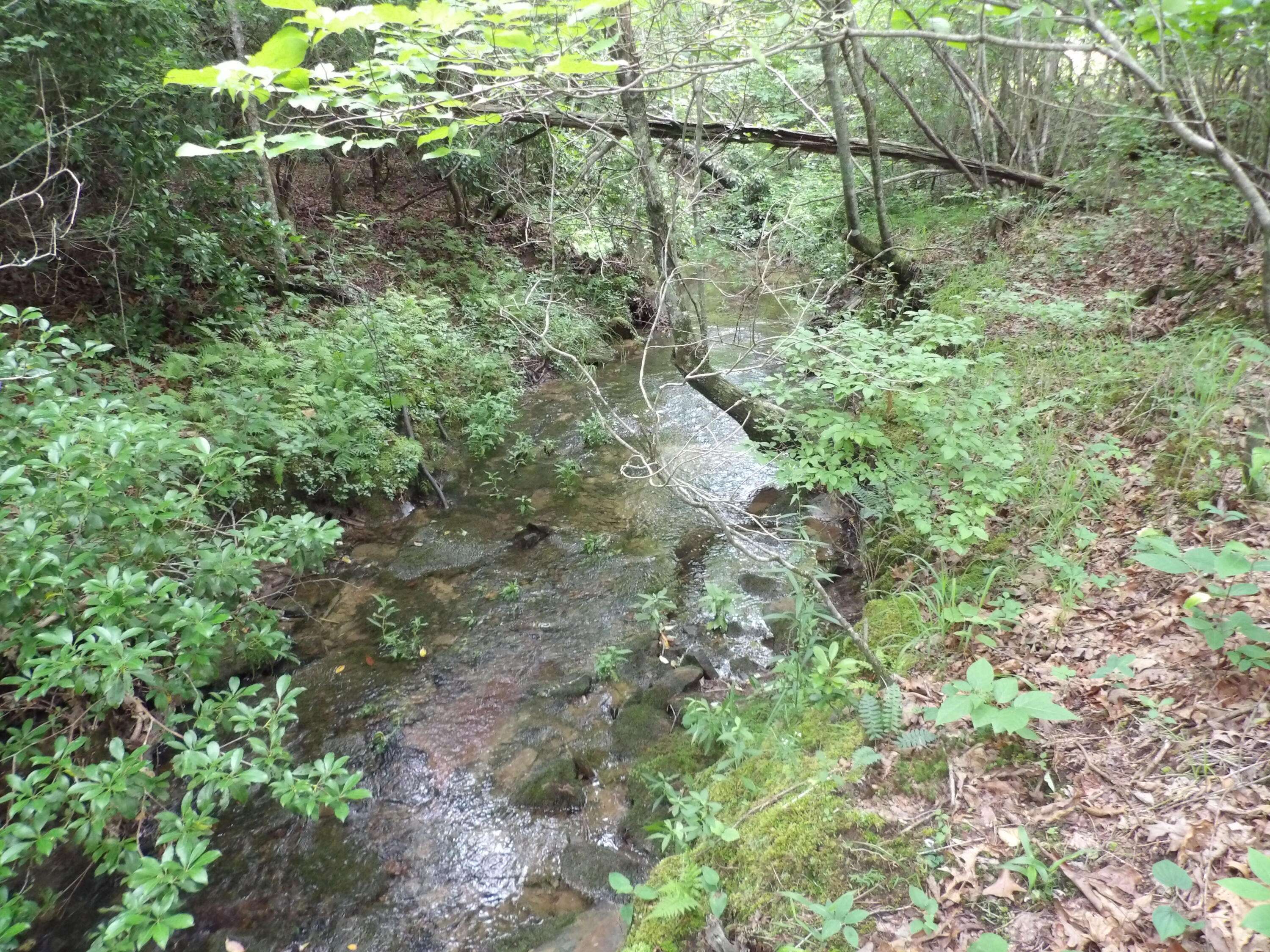Lot 9 Hughes Cemetery RD, Evensville, TN 37332