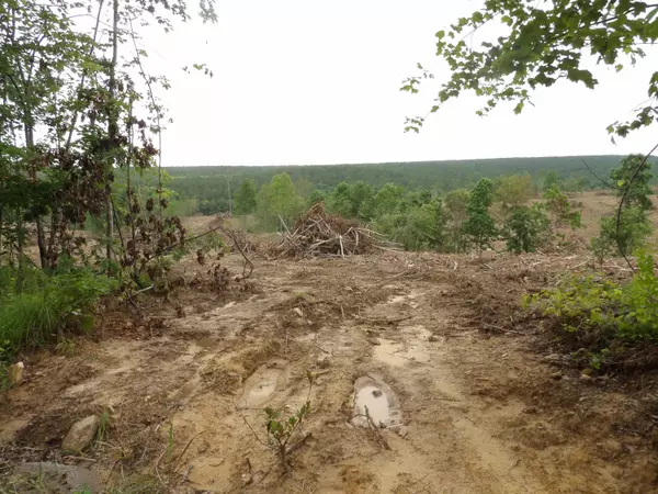 Evensville, TN 37332,Lot 10 Hughes Cementery RD
