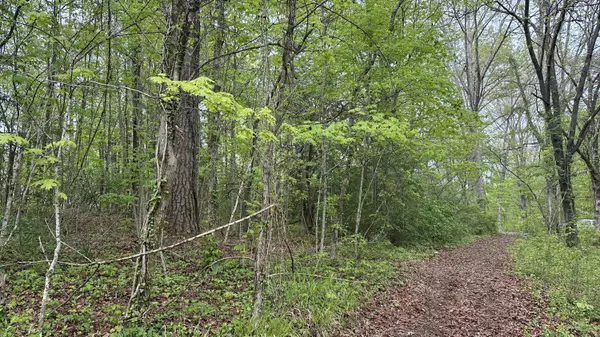 Tracy City, TN 37387,0 Gum ST