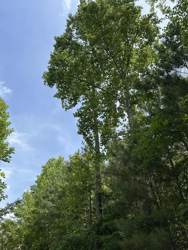 Jasper, TN 37347,1255 Cherokee PATH