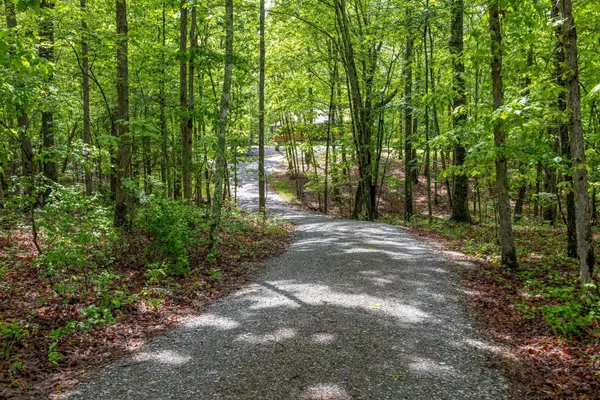 Sewanee, TN 37375,1590 Jackson Point RD