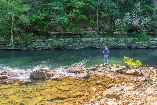 Dunlap, TN 37327,0 Echo Point RD