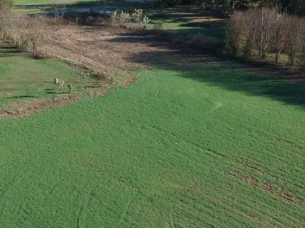 Decherd, TN 37324,1 Yellow Branch RD