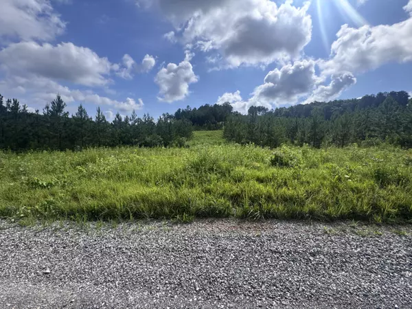 Madisonville, TN 37354,Lot 41 Three Point RD