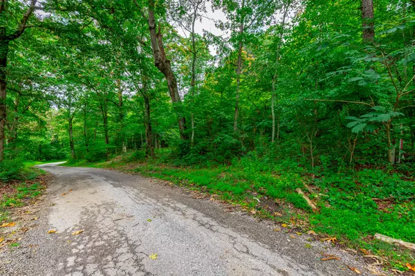 Tracy City, TN 37387,1054 Myers Hill RD