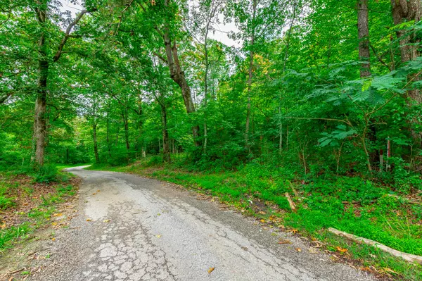1054 Myers Hill RD, Tracy City, TN 37387