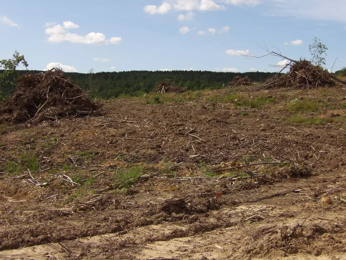 Evensville, TN 37332,Lot 13 Summer City RD