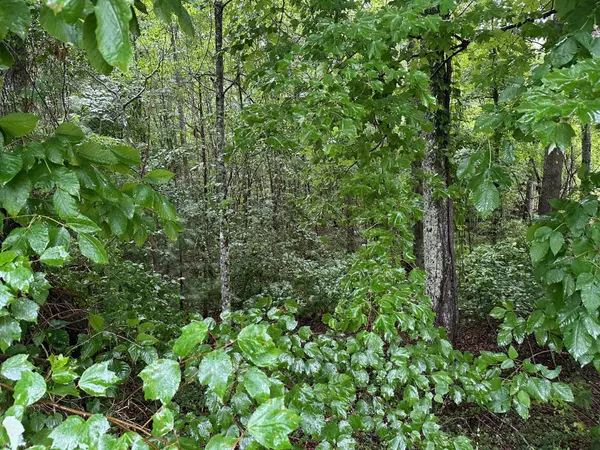 Palmer, TN 37365,Lot 7 Saw Mill Road