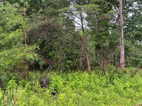 Palmer, TN 37365,Lot 9 Saw Mill Road