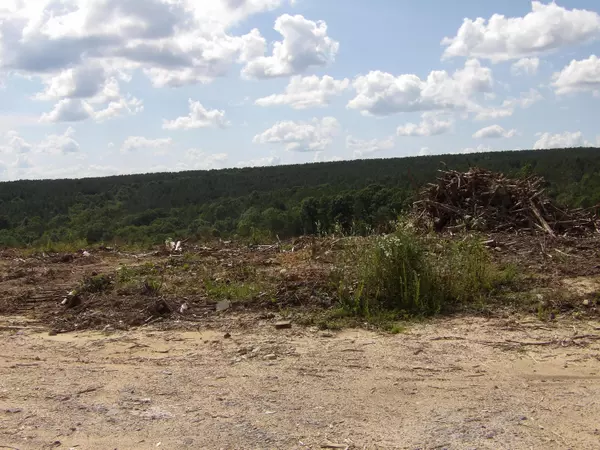 Evensville, TN 37332,Lot 18 Summer City RD