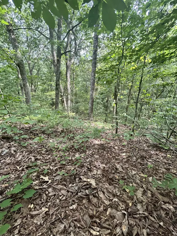 Ringgold, GA 30736,0 Sutton DR
