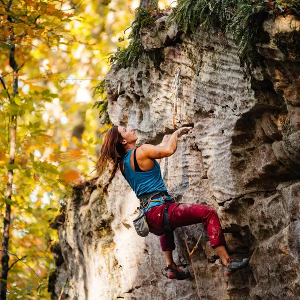 Soddy Daisy, TN 37379,0 Worley RD