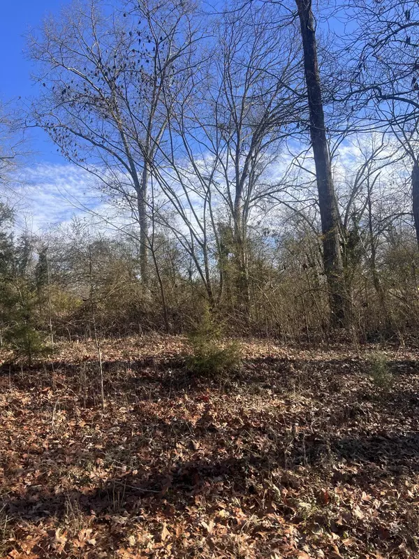 Bridgeport, AL 35740,0 Ehrich AVE