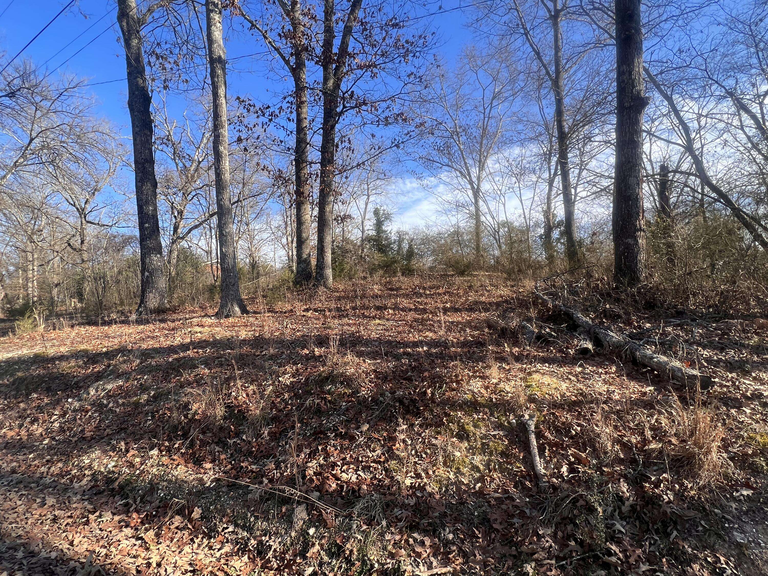 0 Ehrich AVE, Bridgeport, AL 35740