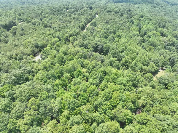 Dunlap, TN 37327,11.89 Cloud Land LN