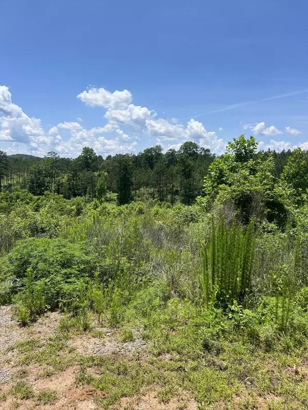 Talking Rock, GA 30175,265 Highgrove DR