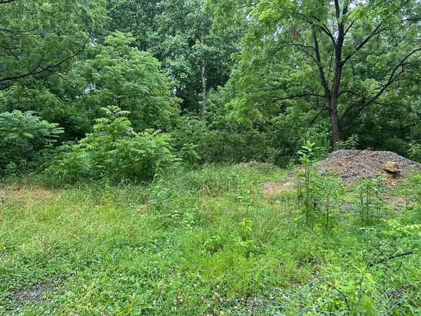 Palmer, TN 37365,Lot 4 Saw Mill Road