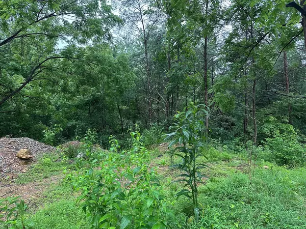 Palmer, TN 37365,Lot 4 Saw Mill Road