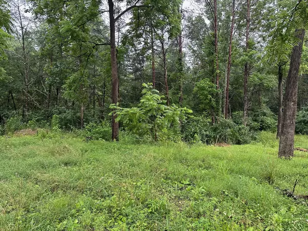 Palmer, TN 37365,Lot 4 Saw Mill Road