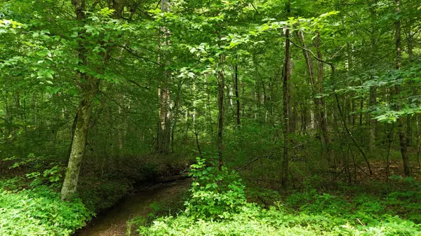 Spring City, TN 37381,Lot 13/14 Clifton Cemetery RD