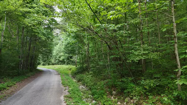 Spring City, TN 37381,Lot 13/14 Clifton Cemetery RD