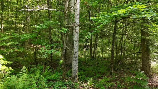 Spring City, TN 37381,Lot 13/14 Clifton Cemetery RD