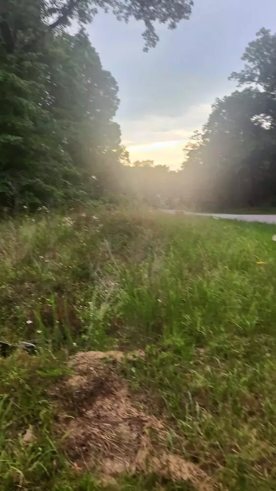 Pikeville, TN 37367,Lot 561 Simmons RD