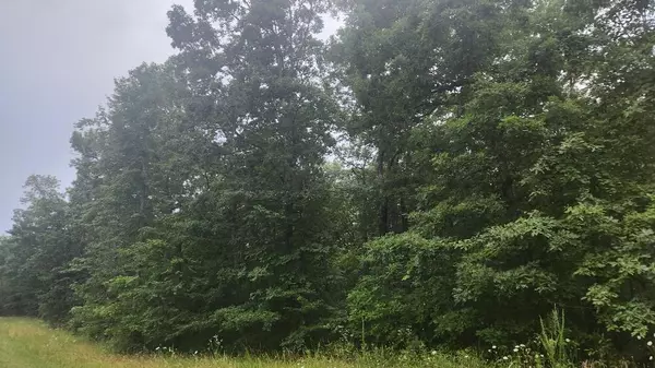 Pikeville, TN 37367,Lot 561 Simmons RD