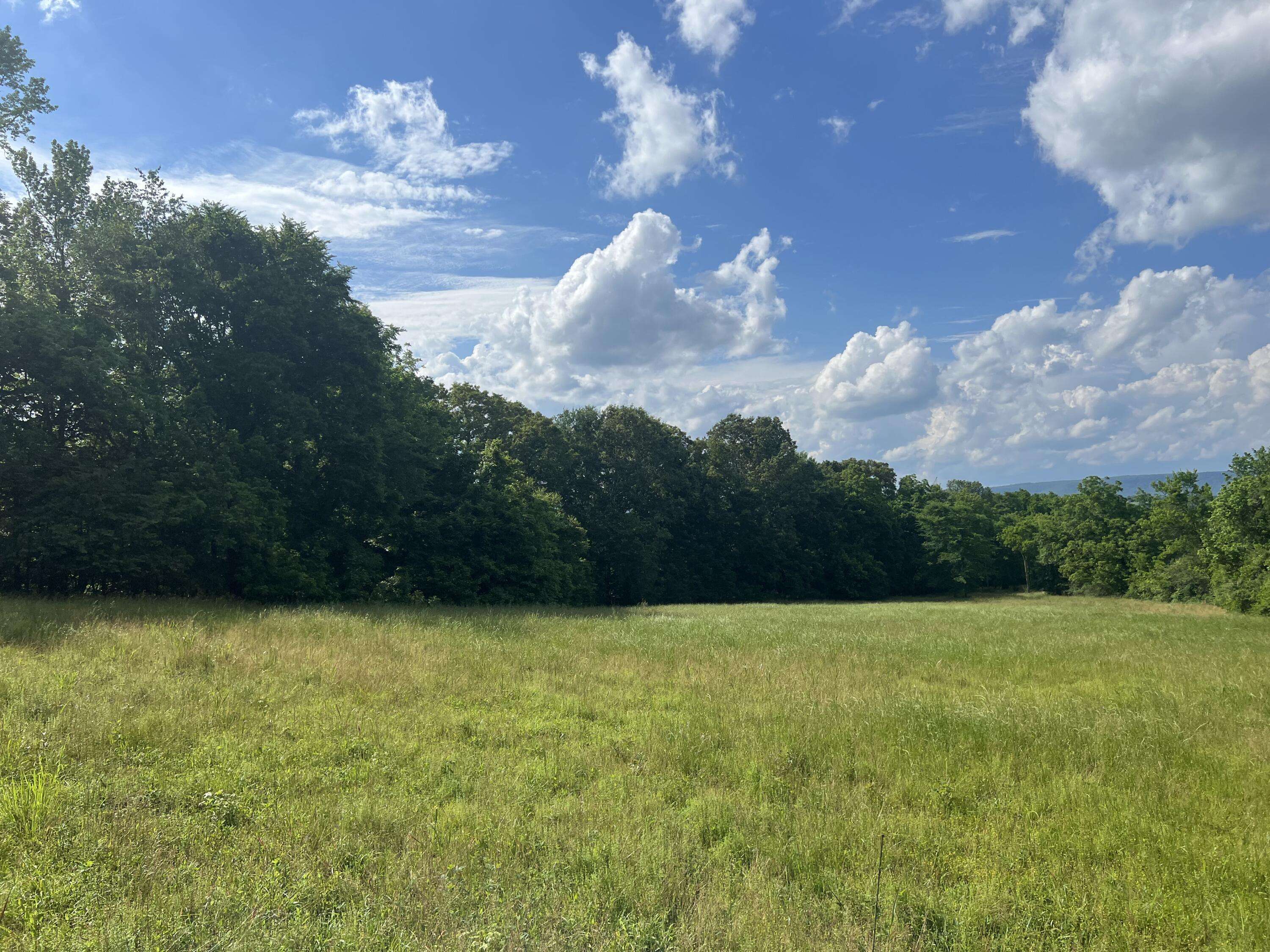 0 Bolton RD, Jasper, TN 37347