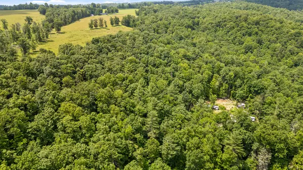 Grandview, TN 37337,279 Bear Den TRL