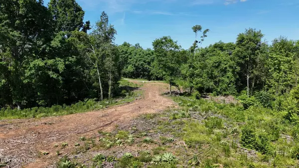 Decatur, TN 37322,Lot 4 Lamontville RD