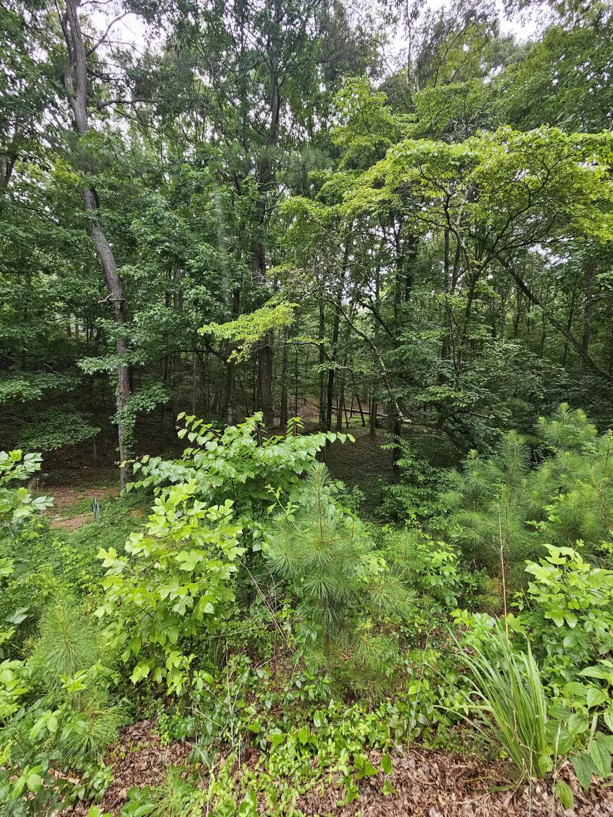 Ringgold, GA 30736,0 Pineywood DR