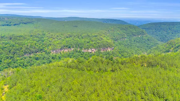 Soddy Daisy, TN 37379,0 Worley RD