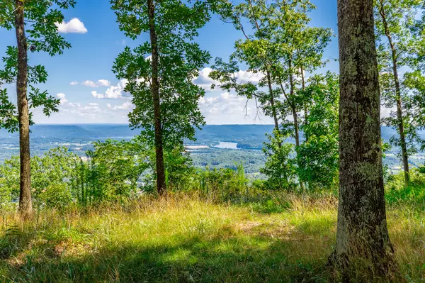 Jasper, TN 37347,0 River Bluffs DR