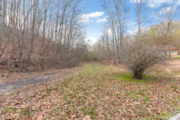 Dalton, GA 30720,13 Ac Percheron DR